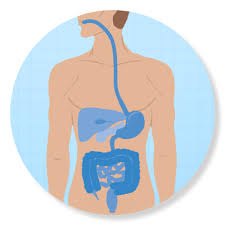 82% der aktuellen stellenangebote sind vollzeit und 18% davon sind teilzeitstellen. Klinikum Bremen Mitte Klinik Fur Innere Medizin Ii Gastroenterologie Hepatologie Endokrinologie Ernahrungsmedizin Deutsches Krankenhaus Verzeichnis Deutsches Krankenhaus Verzeichnis