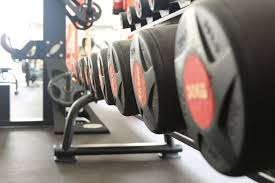 Check out these lifestyle articles for great tips and tricks. Team Sport Fitness Weight Close Up Indoors In A Row Healthy Lifestyle Gym Muscular Build Pxfuel