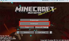 This is a tutorial i am writing so anyone can do the snowblind mod to their pc for fairly cheap. How To Play Multiplayer In Minecraft Java Edition