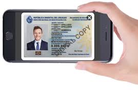 Create an identification card for your company with editable templates The Non Government Id Card Of Idl Services Inc