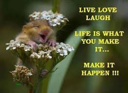 Life Is What You Make It Pictures Photos And Images For Facebook Tumblr Pinterest And Twitter