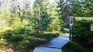 Descoperă țară asta autentică, încărcată de istorie, departe de haosul cotidian. 10 Locuri Deosebite De Vizitat In Harghita Cu Familia