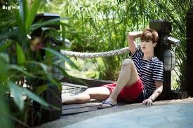 The quantity will be reflected to hanto and gaon chart upon . Bts Summer Package 2015 Army S Amino