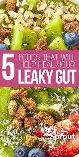Leaky Gut Harms Your Digestive Health And May Be Linked To Several Chronic And Autoimmune Diseases Here Ar Gut Health Diet Digestive Health Diet And Nutrition
