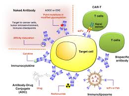 .pest spider insect repellent ultrasonic pest repellers garden & patio, pest type: Development Of Therapeutic Antibodies For The Treatment Of Diseases Journal Of Biomedical Science Full Text