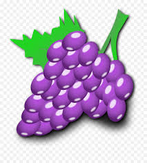 Gambar a gambar mewarnai buah buahan ini dipetik dari bahan berikut : Download Cartoon Grapes Png Cartoon Grape Gambar Buah Buahan Anggur Grapes Transparent Background Free Transparent Png Images Pngaaa Com