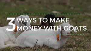 My dog finally has a voice and we haven't stopped my dog finally has a voice and we haven't stopped la.ughing since we hooked it up!! Raising Goats For Profit 2020 Complete Beginner S Guide To Meat Goats Dairy Goats