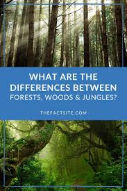 What Are The Differences Between Forests Woods Jungles The Fact Site What Is A Jungle Environment Facts Forest