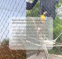 Aviario exterior para guacamayos: creando el hábitat perfecto