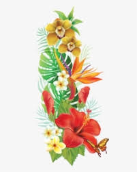 Check spelling or type a new query. Hawaiian Tropical Flowers Png Transparent Png Kindpng