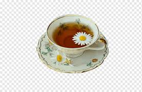 Sunny egyptian chamomile brightened by herbs and flowers. Chamomile Tea Png Images Pngwing