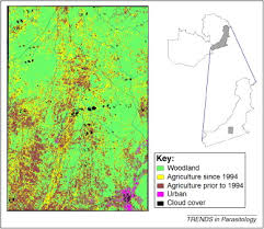Traduza rapidamente palavras, expressões e páginas. A Changing Environment And The Epidemiology Of Tsetse Transmitted Livestock Trypanosomiasis Trends In Parasitology