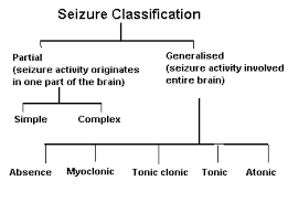 There Are Over 40 Types Of Seizures These Are The Most