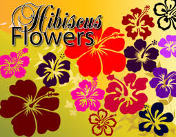 1 cup (250 ml) plain flour +1/2. Hibiscus Flowers Free Photoshop Brushes Photoshop Free Brushes