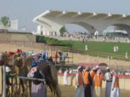 These days it's big business, with races held between october and early april. Al Wathba Racetrack Abu Dhabi Times Of India Travel