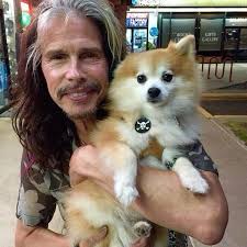 Denise Clairmont (tedybeanie)