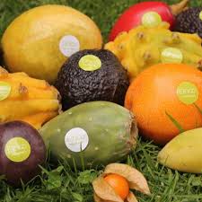 Maybe you would like to learn more about one of these? Fresh Exotic Fruits Buy Frische Exotische Fruchte Gross Frische Obst Frische Exotische Fruchte Und Gemuse Product On Alibaba Com