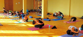 vinyasa yoga teacher in