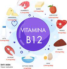 La b12 è una vitamina indispensabile per il corretto funzionamento del nostro organismo. Vitamina B12 Alimenti Lista Cibi Ricchi Di B12 Carenza X115