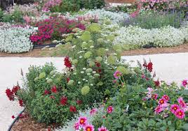 Maybe you would like to learn more about one of these? Small Space Cut Flower Garden Ideas Costa Farms