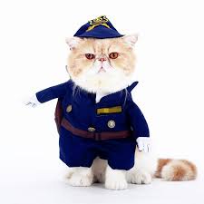 Sale price $9.99 $ 9.99 $ 12.49 original price $12.49 (20% off). 2021 Cat Costumes For Pets Dog Cat Clothes Costume Dress Doctor Nurse Cowboy Sailor Autumn Winter Funny Suit Outfit Cotton Apparel Promotion From Cnshoppingmall07 5 87 Dhgate Com