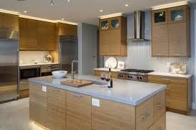 Bentwood Cabinetry Bamboo Cabinets Open Floor Plan Islands Subzero Wolf Appliances Vertical Bamboo Kitchen Cabinets Contemporary Kitchen Gorgeous Kitchens