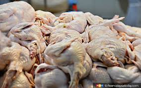 Maybe you would like to learn more about one of these? 175 Pekerja Positif Covid 19 Kilang Ayam Diarah Henti Operasi Free Malaysia Today Fmt