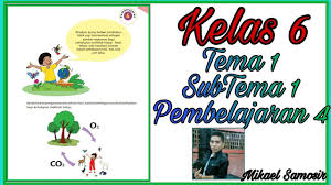 Rpp ini disusun sebagai salah satu tugas ppg daljab 4 uns tahun 2020. Kelas 6 Tema 1 Subtema 1 Pembelajaran 4 Selamatkan Makhluk Hidup Youtube