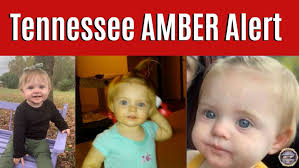 AMBER Alert: No body found in search of NC pond in connection to baby  Evelyn Boswell