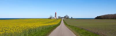 Denemarken heeft zijn eigen 'woestijn' rabjerg mile,en deze zandduin ligt in het noordelijkste puntje van noord jutland tussen denemarken heeft een prachtig landschap met een gevarieerde natuur. Danitsja Rientjes Onze Nieuwe Aankoopbegeleider In Denemarken Interfarms