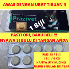 Ubat ini akan membantu menghapuskan cacing di dalam usus kucing. Readystok Ubat Cacing Kucing Prazivet Cat Dewormer 1 Tablet Shopee Malaysia