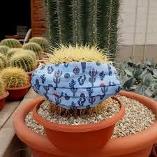 ¿cómo quitar espinas de cactus? Mascarilla Para Amigos De Cactus Uhlig Kakteen Mas Que 5 000 Especies Diferentes