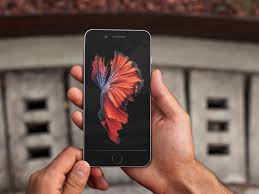 Betta fish wallpaper ios 10. Iphone 6s Still Wallpaper Images