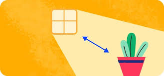 Iris 'Jolly Jester' Plant Care: Water, Light, Nutrients