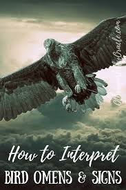 Different Birds And Their Meanings How To Interpret Different Bird Omens And Signs Including Blackbirds Owls Hummingbirds Birds In The H Crow Spirit Animal Spirit Animal Meaning Owl Symbolism