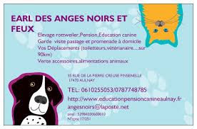 Je viens chez vous nourrir votre chat pendant votre absence, lui donner ses médicaments et jouer avec lui. Elevage Pension Education Garde A Domicile Taxi A Aulnay Uncompagnon Fr