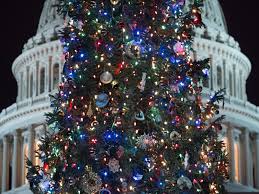 Are Christmas Trees Pagan Inside The Origins Of The Evergreen Tradition