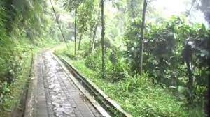 Air panas ciparay berlokasi tidak jauh dari pintu masuk taman. Video Perjalanan Wisata Ke Air Panas Ciparay Bogor Youtube