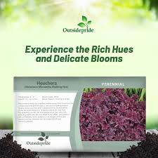 Image result for Pentas micrantha