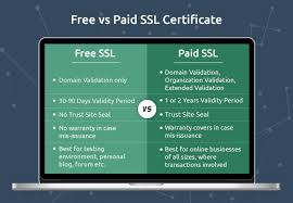 Free Ssl Or Paid Ssl Certificates Which Ssl Certificate Should You Choose Ssl Certificate Ssl Certificate Authority