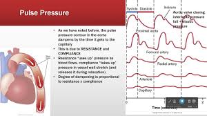Image result for Pulse Pressure