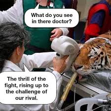 Important Tiger Memes To Get You Through Today Funny Funny Pictures Funny Tiger