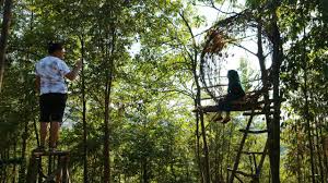 Check spelling or type a new query. Wisata Alam Tebing Langit Batam Wajib Dikunjungi Gerai News