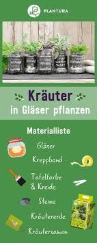Anzeige Krauter In Glaser Pflanzen Ein Krautergarten Auf Dem Fensterbrett Wir Zeigen Euch Wie Ihr Krauter Pflanzen Krauter Anpflanzen Topfpflanzen Terrasse
