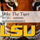 Everything for the fan at fansedge! Lsu Tiger Card On Foursquare