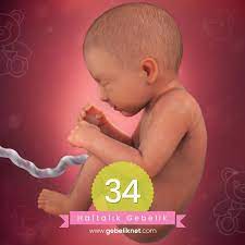 34 haftalik gebelikte bebegin goruntusu boyu kilosu gelisimi ve annedeki degisimler http www gebeliknet com 34 haftalik gebelik hamilelik hamilelik