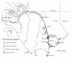 Image result for Aporrhiza paniculata