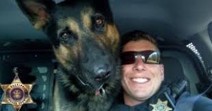 Niagara County Sheriff's Canine EJ dies unexpectedly