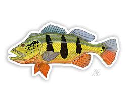 Maybe you would like to learn more about one of these? Peacock Bass Decal Etsy Peacock Bass Fishing Decals Fish