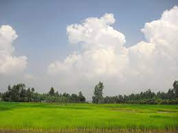 Wallpapers in ultra hd 4k 3840x2160, 8k 7680x4320 and 1920x1080 high definition resolutions. Bangladesh Wallpapers Wallpaper Cave